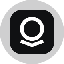 Palantir Technologies Tokenized Stock (Ondo)LOGO